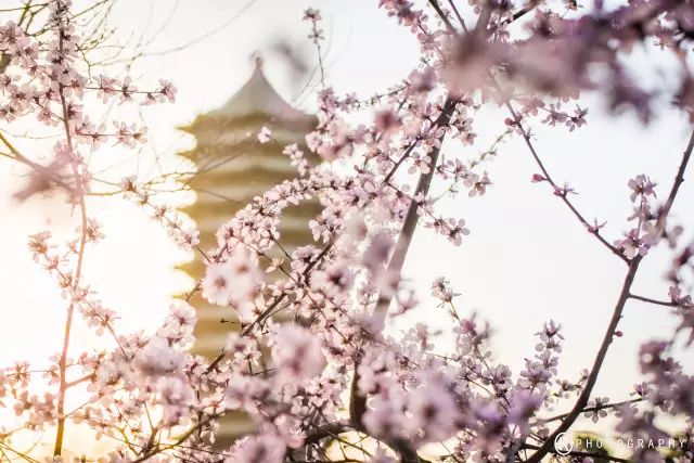 521774985083109856.jpg 521774985083109856.jpg